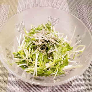 簡単！水菜と しらすの さっぱりサラダ